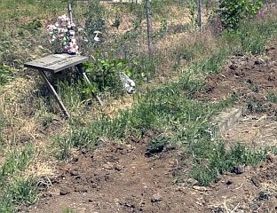 АЛБАНАЦ БАЦИО КРАЈ ПУТА СПОМЕН-ПЛОЧУ СТРАДАЛЕ СРПСКЕ ДЈЕВОЈЧИЦЕ
