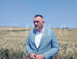 МИНИЋ: ПРОСЈЕЧАН РОД И КВАЛИТЕТ ПШЕНИЦЕ, МОГУЋА ЦИЈЕНА ОД 30 ДО 32 ФЕНИНГА