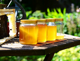 ONLY LABORATORY ANALYSIS CAN PROVE WHICH HONEY IS FAKE