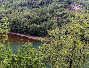 "ПРОЦВЈЕТАО" ВРБАС, НЕМА РАЗЛОГА ЗА ЗАБРИНУТОСТ