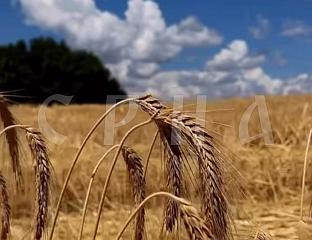ОД СУТРА НОВИ ТОПЛОТНИ ТАЛАС