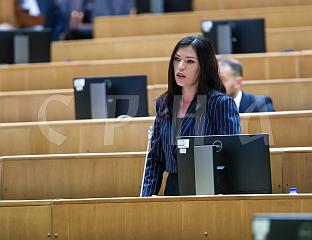 ВУЛИЋ: ЋУЛУМУ НИКАДА НИЈЕ ПРЕСТАО МАНДАТ ДИРЕКТОРА СИПЕ