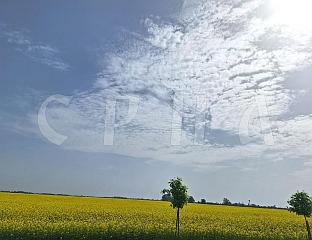 ВЕЋИ ДИО ДАНА СУНЧАН, УВЕЧЕ НАОБЛАЧЕЊЕ