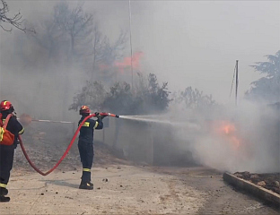 ШУМСКИ ПОЖАР У АРГОЛИДИ