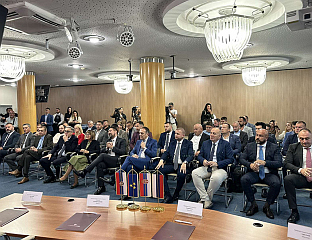 ИНТЕНЗИВИРАТИ ПЛАСМАН РОБЕ ИЗ СРПСКЕ У СРБИЈУ