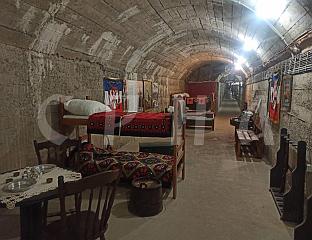 ВАСИЋ: РАСТУ ПРИХОДИ ОД ТУРИЗМА