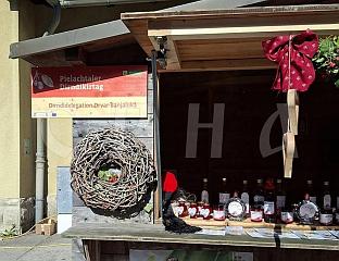 НА ДРЕЊИЈАДИ У ДОЊОЈ АУСТРИЈИ ПРЕДСТАВЉЕНА КУЛТУРНА И ГАСТРОНОМСКА ПОНУДА