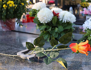 ДАНАС МИХОЉСКЕ ЗАДУШНИЦЕ