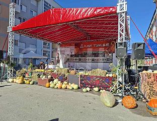 НАЈВЕЋА ТИКВА ТЕЖИЛА 57,9 КИЛОГРАМА