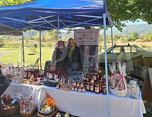 ДРЕЊИНА ИЗ ДРВАРА - ОД ПРИРОДЕ ДО ТЕГЛИЦЕ ЗДРАВЉА