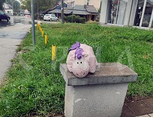 ИЗГУБЉЕНИ ДИНОСАУРУС ЧЕКА МАЛУ ВЛАСНИЦУ