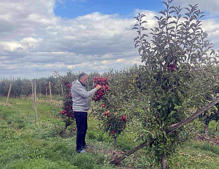 ДОДИК: ЛОША ГОДИНА ЗА ВОЋАРЕ