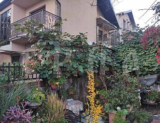 РОДИО КИВИ У ОБИЛИЋЕВУ