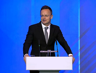 САНКЦИЈЕ НАНИЈЕЛЕ ВИШЕ ШТЕТЕ ЕУ