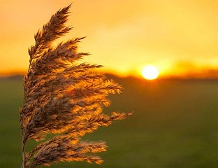 СУТРА СУНЧАНО, КРАЈЕМ ДАНА У КРАЈИНИ ЈАЧИ ВЈЕТАР