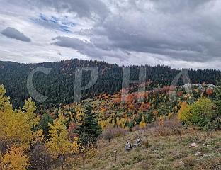 ТРЕБЕВИЋ ОБАВИЈЕН ЈЕСЕЊИМ РУХОМ