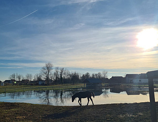 СУНЧАНО И ТОПЛО, УВЕЧЕ НАОБЛАЧЕЊЕ