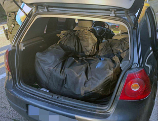 УХАПШЕНА ЧЕТИРИ ЛИЦА, ЗАПЛИЈЕЉЕНА ВЕЋА КОЛИЧИНА СКАНКА