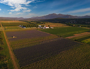 ПРОИЗВОДИ ВИСОКОГ КВАЛИTЕTА ПЛАСИРАНИ ШИРОМ СВИЈЕТА