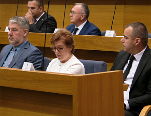 ВИДОВИЋ: ДОБРОВОЉНИ ПЕНЗИЈСКИ ФОНД ЗНАЧАЈАН ЗА СРПСКУ