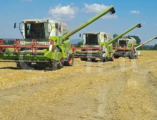 "ВИВ АГРО" - ПРИМЈЕР УСПЈЕШНОГ ГАЗДИНСTВА