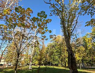 ТОПЛО И СУНЧАНО, МАКСИМАЛНА ТЕМПЕРАТУРА ОД 16 ДО 21 СТЕПЕН