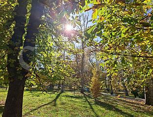 У ПОНЕДЈЕЉАК 24 СТЕПЕНА,  У УТОРАК ЗАХЛАЂЕЊЕ