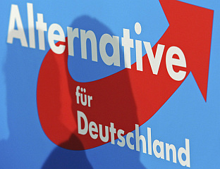 ВАЈДЕЛ: МЕРЦОВА ВЛАДА УНИШТАВА ЊЕМАЧКУ НА СВИМ НИВОИМА