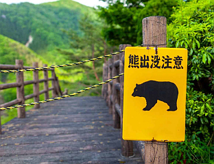 МЕДВЈЕД ПОВРИЈЕДИО ЧОВЈЕКА У ФУКУШИМИ