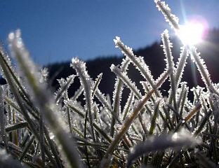 ЂОРЂЕВИЋ: ЈАК ВЈЕТАР И ВИСОКА ТЕМПЕРАТУРА БРЗО ЋЕ ОТОПИТИ СНИЈЕГ