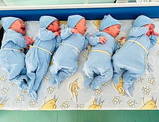 РОЂЕНЕ 23 БЕБЕ