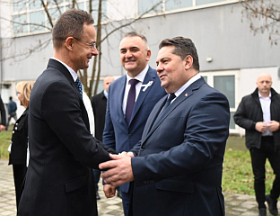 СТЕВАНДИЋ: СРБИ И МАЂАРИ НАЂУ НАЧИН ДА НАДИГРАЈУ "РАЗНЕ ЗУКАНЕ"