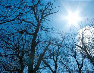 СУTРА ПОСTЕПЕНО РАЗВЕДРАВАЊЕ