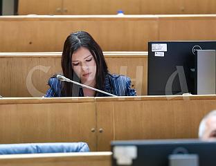 ВУЛИЋ: КОНАКОВИЋЕВ НЕЉУДСКИ ПОЗИВ НА ЛИНЧ СРПСКОГ НАРОДА ПО ШМИТОВОМ ДИКТАТУ