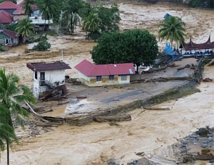 ПОГИНУЛО НАЈМАЊЕ 659 ЉУДИ