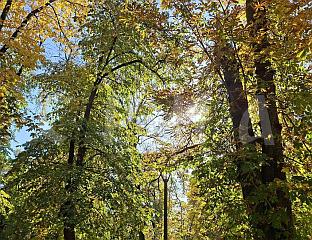 НАРЕДНИХ ДАНА НЕОЧЕКИВАНО ТОПЛО, БИЋЕ И ДО 17 СТЕПЕНИ