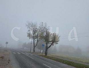 САОБРАЋАЈ БЕЗ ЗАСТОЈА, МАГЛА СМАЊУЈЕ ВИДЉИВОСТ У КОТЛИНАМА