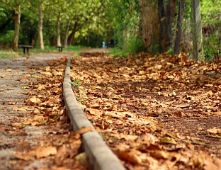 ТОКОМ ДАНА ДЈЕЛИМИЧНО РАЗВЕДРАВАЊЕ, НА ЈУГУ ДО 15 СТЕПЕНИ