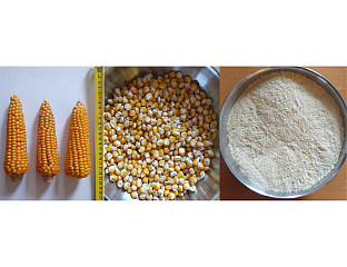 ЗАХТЈЕВ ЗА РЕГИСТРАЦИЈУ ОЗНАКЕ ПОРИЈЕКЛА ЗА КУКУРУЗ КЛЕЧАК - ПОПОВОПОЉАЦ