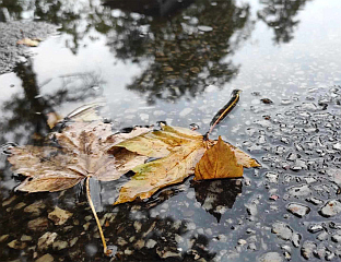 ДАНАС ПРЕТЕЖНО ОБЛАЧНО