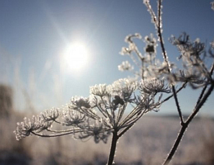 ПРЕТЕЖНО СУНЧАНО И ТОПЛИЈЕ, ДО 10 СТЕПЕНИ ЦЕЛЗИЈУСОВИХ