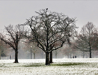 СУТРА ЗАХЛАЂЕЊЕ И ОБИЛНИЈЕ ПАДАВИНЕ