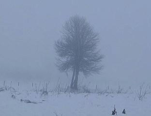 ДАНАС ОБЛАЧНО И ХЛАДНО, НА ИСТОКУ УМЈЕРЕН ДО ЈАК СНИЈЕГ