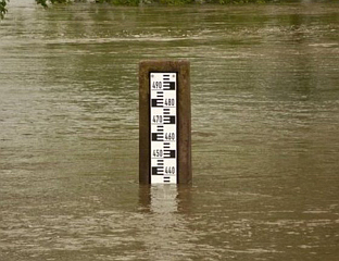 РАСТЕ НИВО СКАДАРСКОГ ЈЕЗЕРА И РИЈЕКА БОЈАНЕ, МОРАЧЕ И ЗЕТЕ