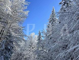 ДАНАС ПАДАВИНЕ УЗ ПОРАСТ ТЕМПЕРАТУРЕ