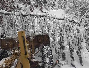 СНИЈЕГ ОБАРАО СТАБЛА ПО ПУТЕВИМА, ЗИМСКЕ СЛУЖБЕ НА ТЕРЕНУ