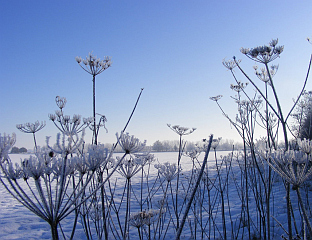 СУТРА ПРОМЈЕНЉИВО И УГЛАВНОМ СУВО, УЗ МАГЛУ И ЈАК ЈУГО У КРАЈИНИ