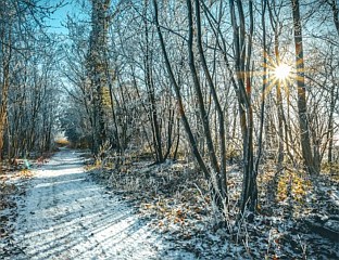 ДАНАС СА ВИШЕ СУНЧАНИХ ПЕРИОДА