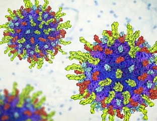 ПОТВРЂЕНА ЕФИКАСНОСТ иПС ЋЕЛИЈА У ЛИЈЕЧЕЊУ ОД РАКА