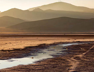 СВИЈЕТ УШАО У ПЕРИОД ГЛОБАЛНОГ БАНКРОТА ВОДЕ